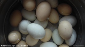 鸡蛋 鸭蛋