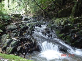 小溪流水