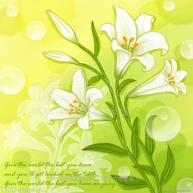 手绘百合花