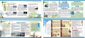 学校知识展板