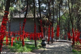 平安树