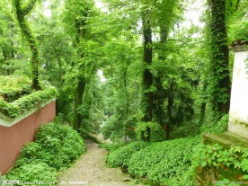 岳麓山