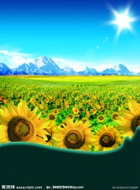 冰山下的花海