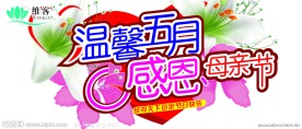 温馨五月 感恩母亲节