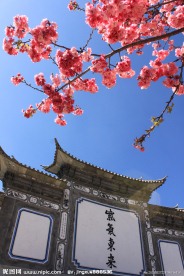 紫气东来