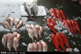 台湾南方澳渔港