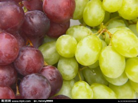 葡萄