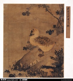 北宋 崔白 沙渚凫雏图