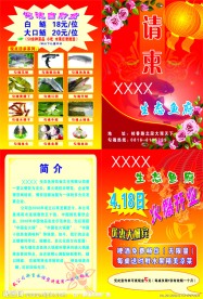 鱼火锅 DM宣传单