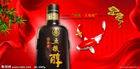 五粮醇宣传