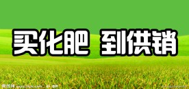 丰收景象