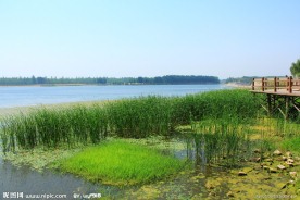 东平湖 风光