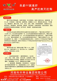 科风集团