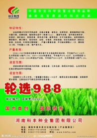 麦子宣传