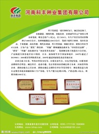 公司彩页