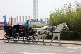 马车