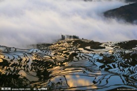 元阳梯田