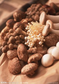 食用菌