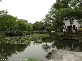 岸边树