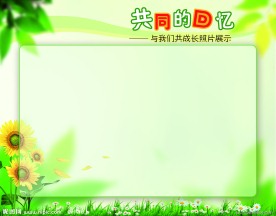 照片展示版面
