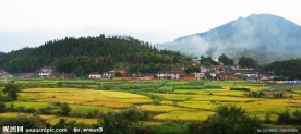 武夷山 吴屯