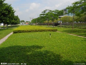 城市绿地