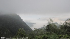 雾中阿里山