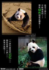 环保海报