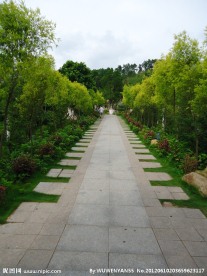 石砖走道