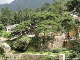九华美景