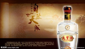郎酒天宝洞设计方案