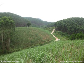 山间小路