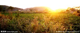 夕阳