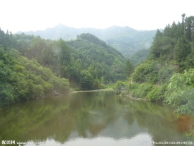 美美山水图