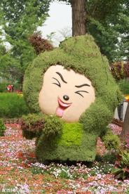 植物 懒洋洋