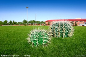 大庆 甲醇厂绿化