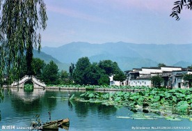 城市园林