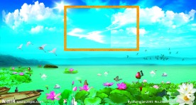 荷花风景图