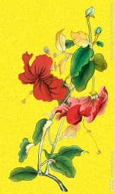 花朵