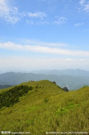 高山草甸