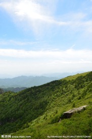 高山草甸