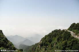 山东泰山