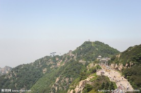 山东泰山