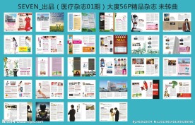 妇科医疗杂志