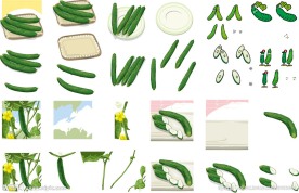 黄瓜合集