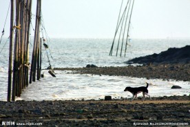 宁德 霞浦