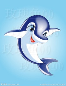 海豚 海豚男孩