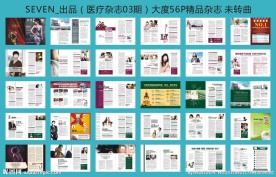 妇科医疗杂志