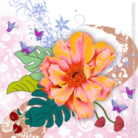 花蝶飞