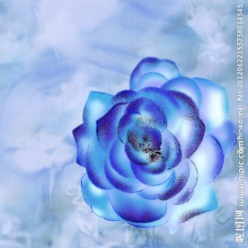 兰花花纹背景